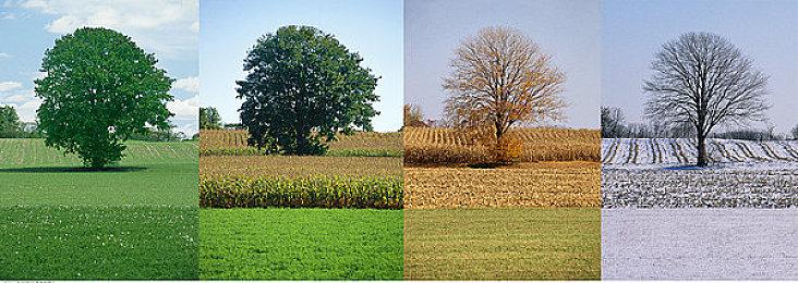 EA确认EA Play Live不会公布新的《星战》 可能要到明年5月